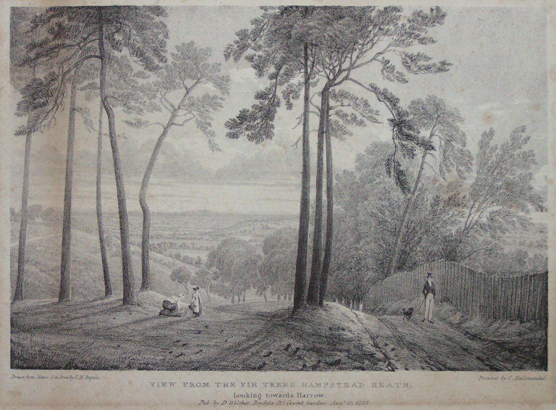 View from the Fir Trees, Hampstead Heath, 1821. Click to enlarge.