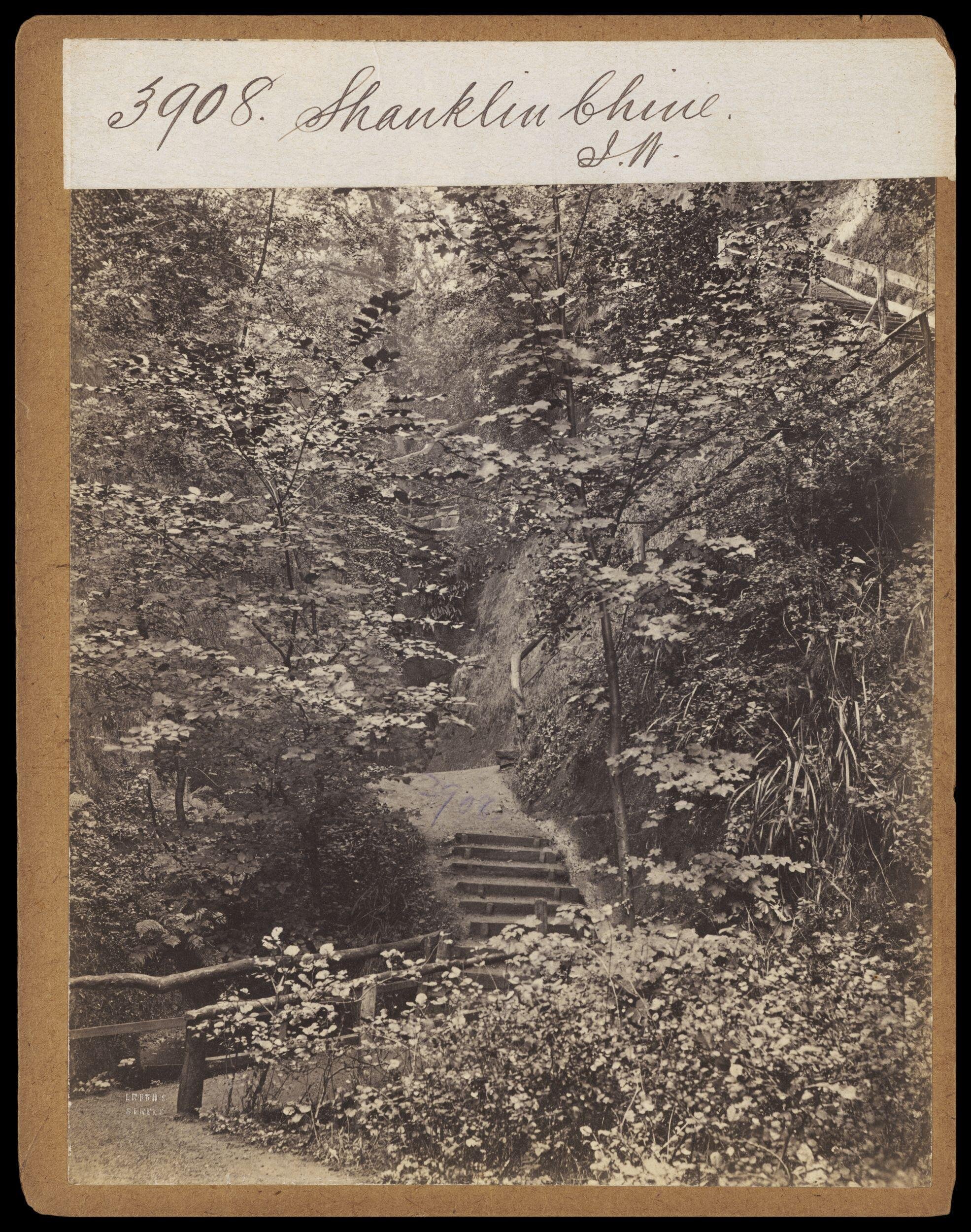 ***Photograph by Francis Frith; part of the Shanklin Chine path, c.1860 (Victoria
        and Albert Museum E.208:3190-1994). Click to enlarge.